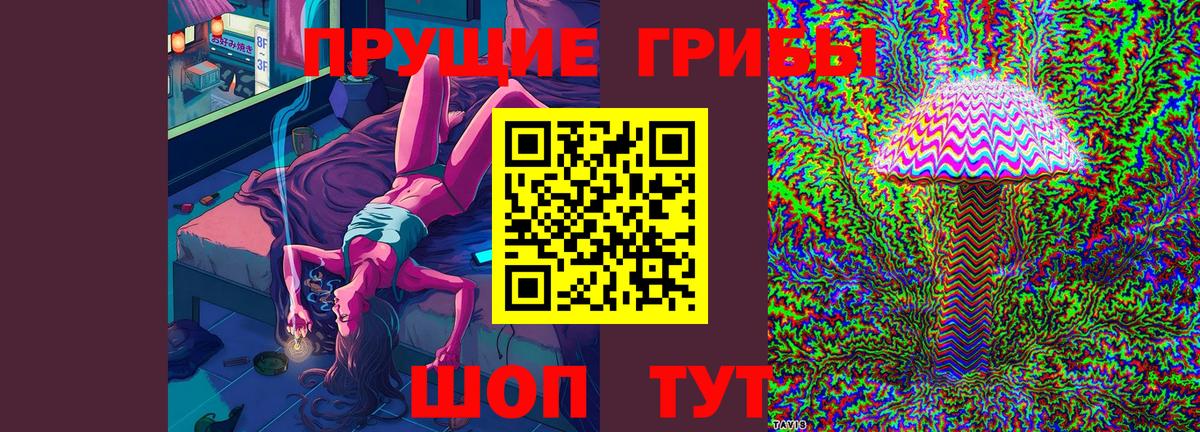 Галлюциногенные грибы Psilocybe Людиново